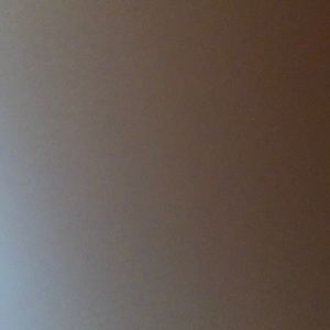 Meet your Posher, Leonardo